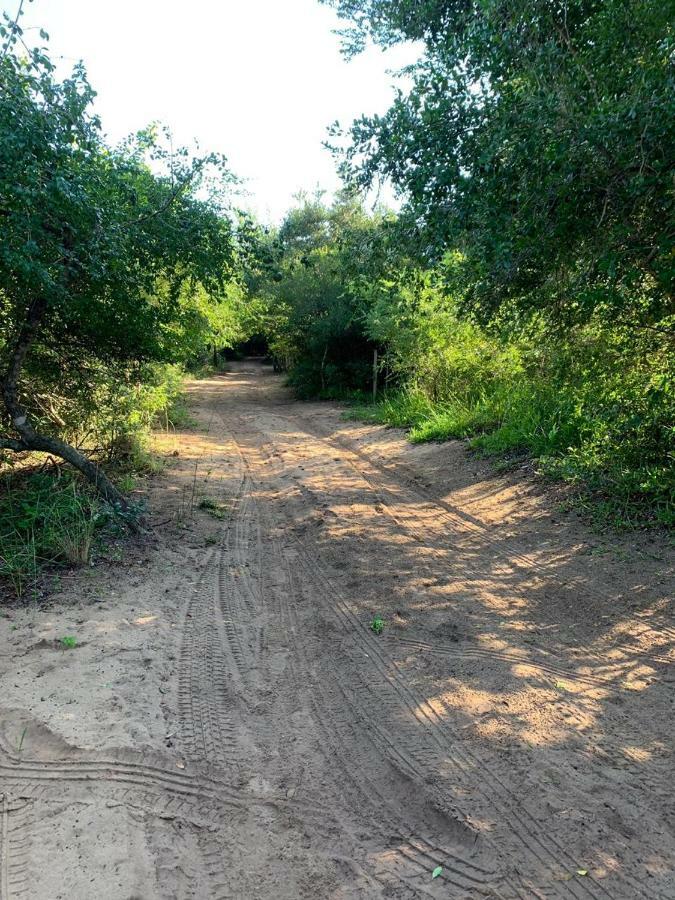 Ponta Malongane Nkumbe Bush Retreat Family Home מראה חיצוני תמונה